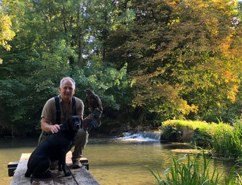 Donnington Grove – Keeper with bird