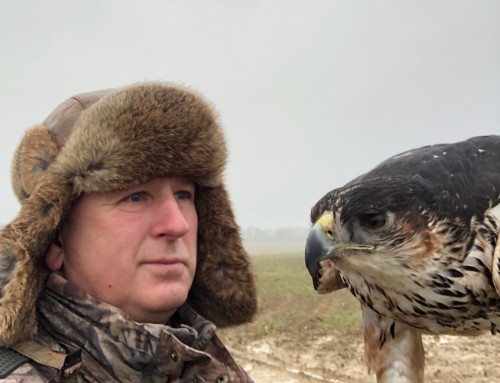 David Roedel falconer holding mustard his African Hawk Eagle